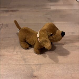 Mary Ellen’s Dog Scooter